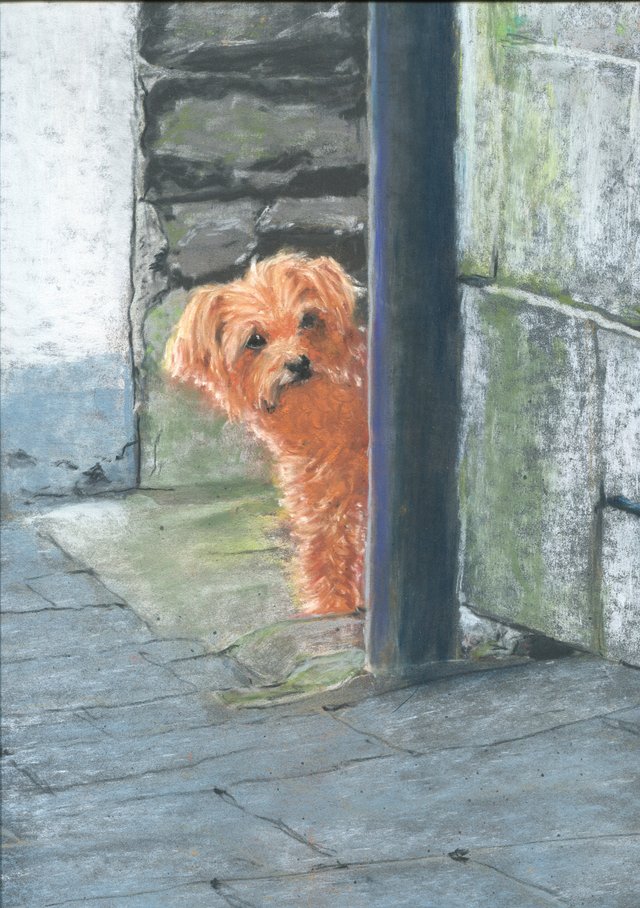 A small ginger dog peers round a dark doorpost between a whitewashed wall and a lichened stone wall, standing on grey flagstones.