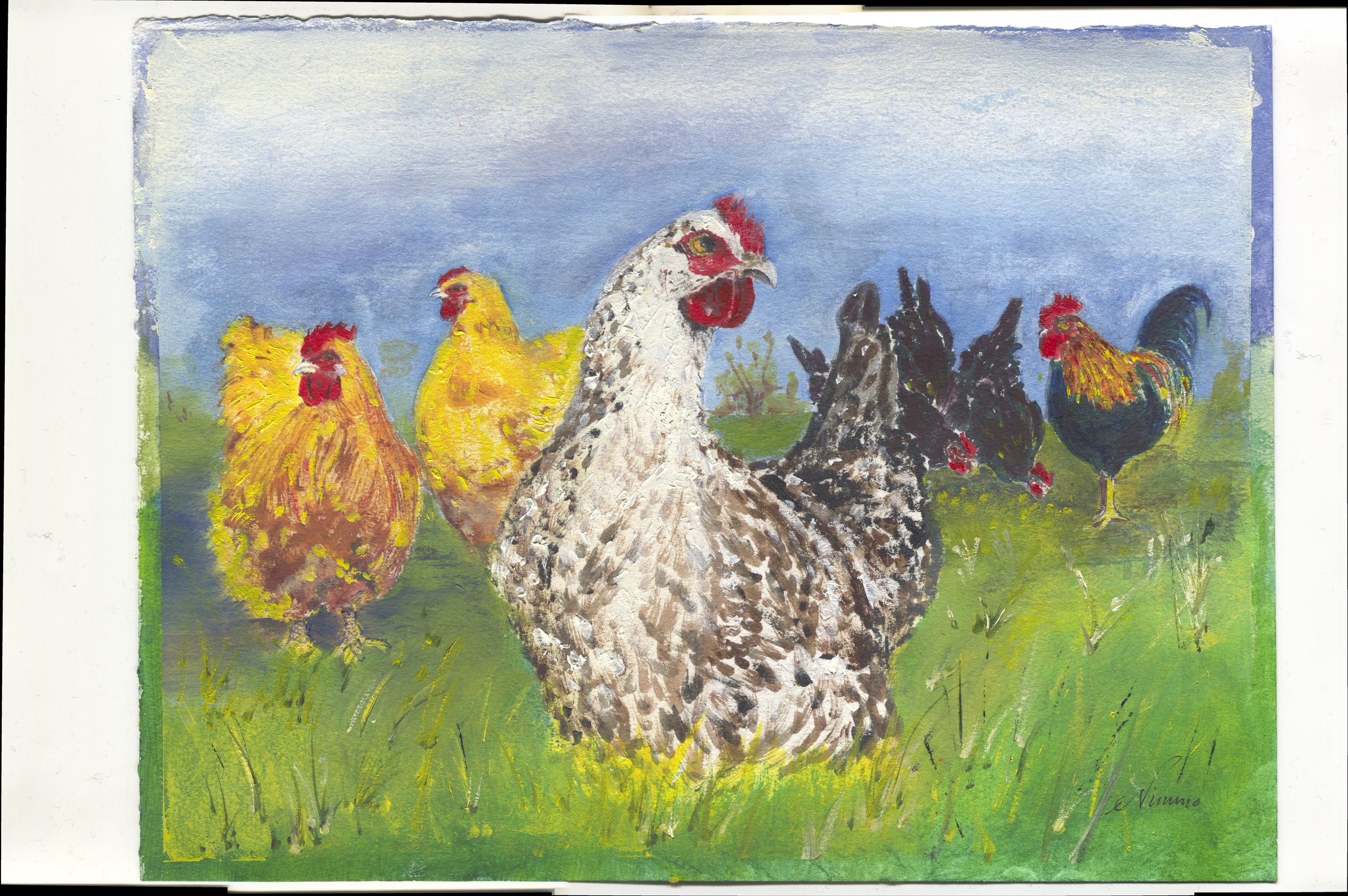 A flock of hens in long grass under a pale blue sky: a large speckled grey and white hen in front, two golden hens to the left, dark hens and a black cockerel with gold neck feathers to the right.